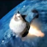 rocketcat.jpg