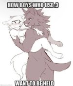 how-do-boys-who-use-3-want-to-be-treated-held-v0-behh9il0qdxd1 (1).jpg