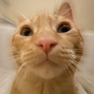 rami