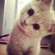 hanna