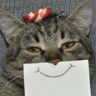 catfoodcan