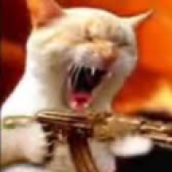 CombatCat