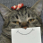 catfoodcan